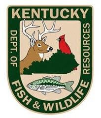 Emergent Vegetation - Kentucky Department of Fish & Wildlife